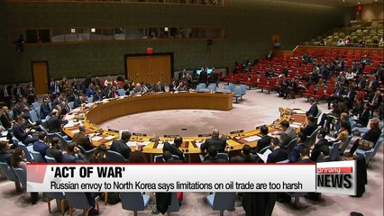 Russian envoy to North Korea says limitations on oil trade are too harsh