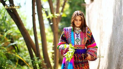 Pashto New Song 2019 Da Jenai Spena | Pashto New Song Da Jenai Spena By Zaryali Samadi