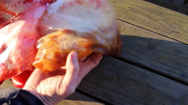 Fishing for catfish with Jello - 6 catfish bait recipes - How to catch catfish