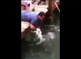 Inpactante video_ pez gigante muerde brazo de un turista