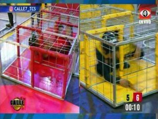 COMPETENCIA 1 PROG. 30/01/2018 CALLE 7 EL SALVADOR TEMPORADA 7