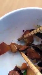 Dòi bò lúc nhúc trong cơm thịt kho trứng