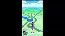 8 10km egg hatching with double candies!! Pokémon GO