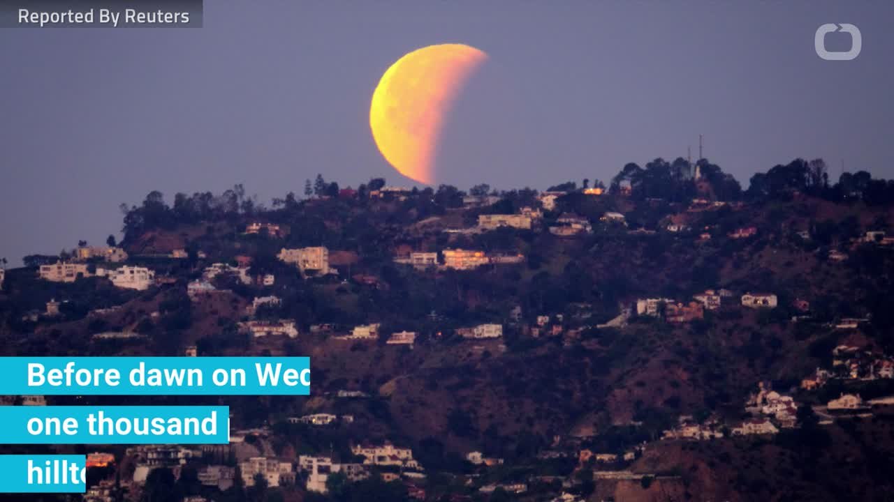 Crowds Gathered In Hollywood Hills To Catch "Super Blue Blood Moon"