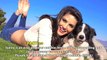 Top 20 Shocking Sunny Leone Facts Part 1 _ Bollywood Fun Facts