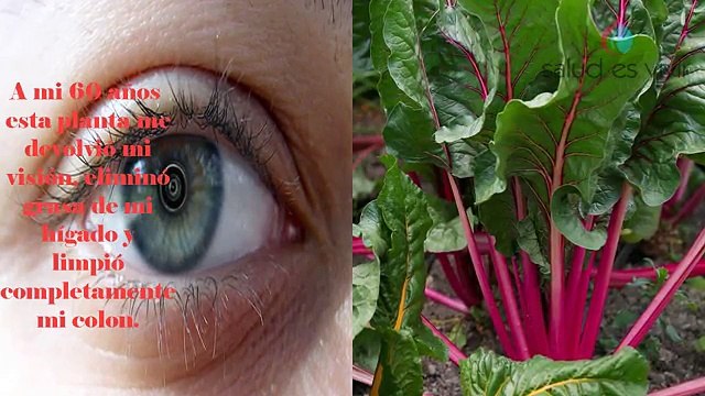 Remolacha para mejorar la visión y otros problemas de salud