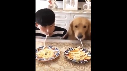 Un homme et deux chiens font un concours de rapidité