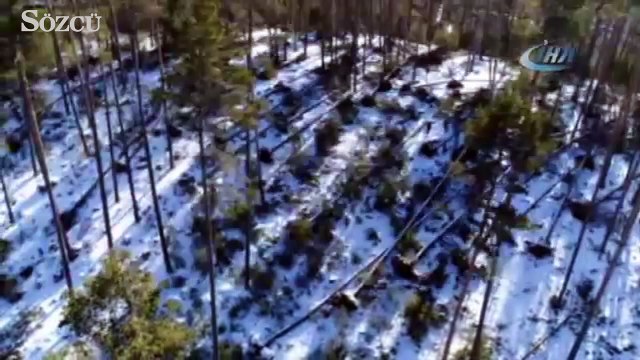 Kuvvetli rüzgar yüzlerce ağacı kökünden söktü