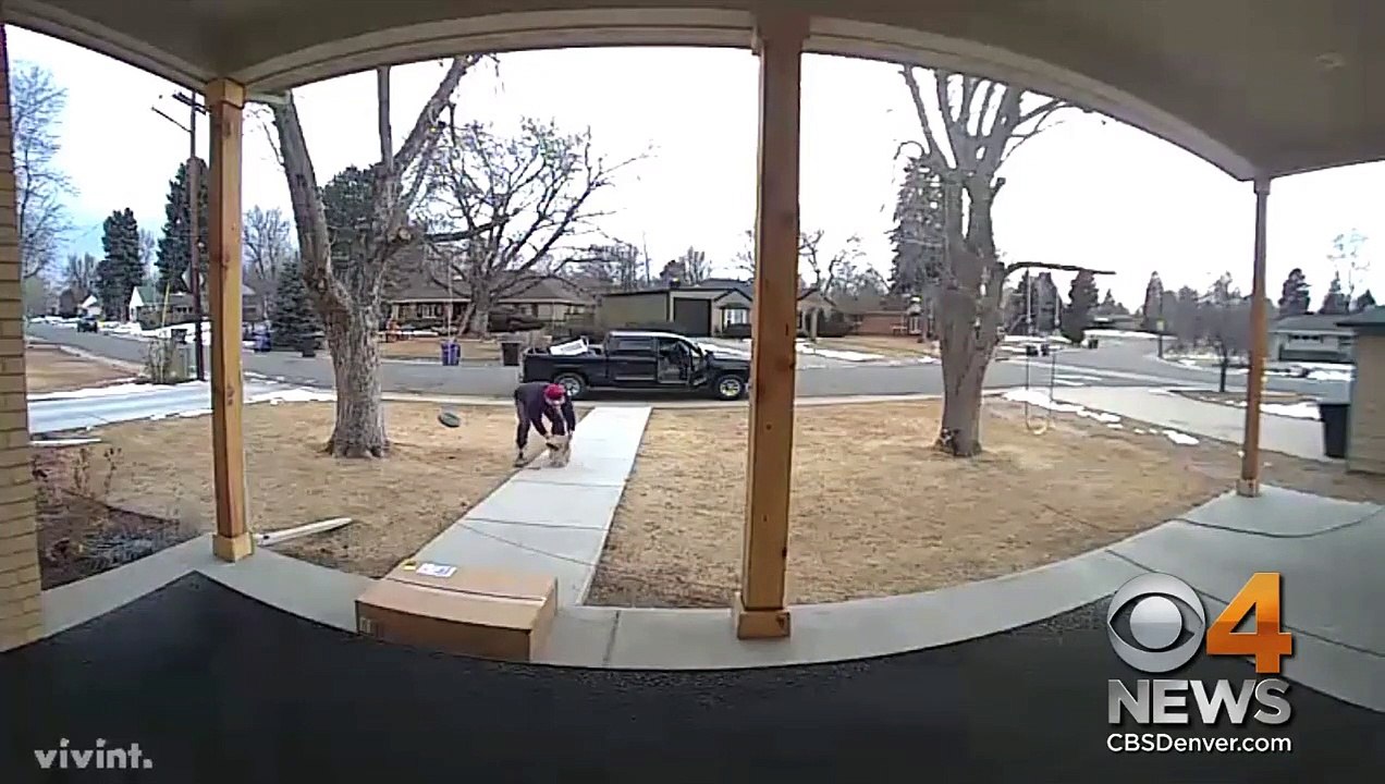 Ce gars vient voler un chien devant une maison... Incroyable