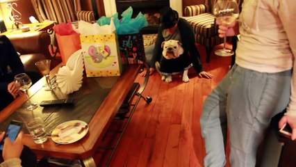 Dozers 7th Birthday Party!