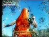 Socha Nahi Tha Tera Pyar Mil Jaye Ga - Irene Parveen  - Film Jaltay Suraj Kay Neechay (Remastered)
