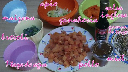 POLLO TERIYAKI A MI MANERA, RECETA INGREDIENTES BÁSICOS, RAPIDO Y FACIL