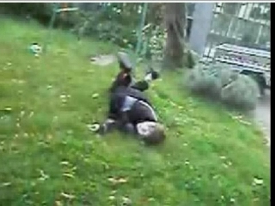 Skate double face gamelles