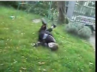 Skate double face gamelles