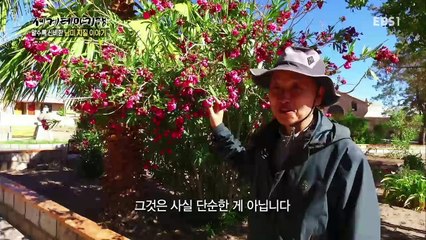 세계테마기행 - 알수록 신비한 남미 지질 이야기 3부- 지구의 박동 화산_#002