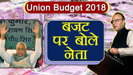 Union Budget 2018 को Nitish, Devendra Fadnavis ने सराहा | वनइंडिया हिन्दी