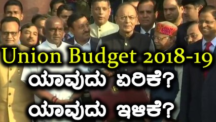 Union Budget 2018 : ಯಾವುದು ಏರಿಕೆ? ಯಾವುದು ಇಳಿಕೆ? | Oneindia Kannada