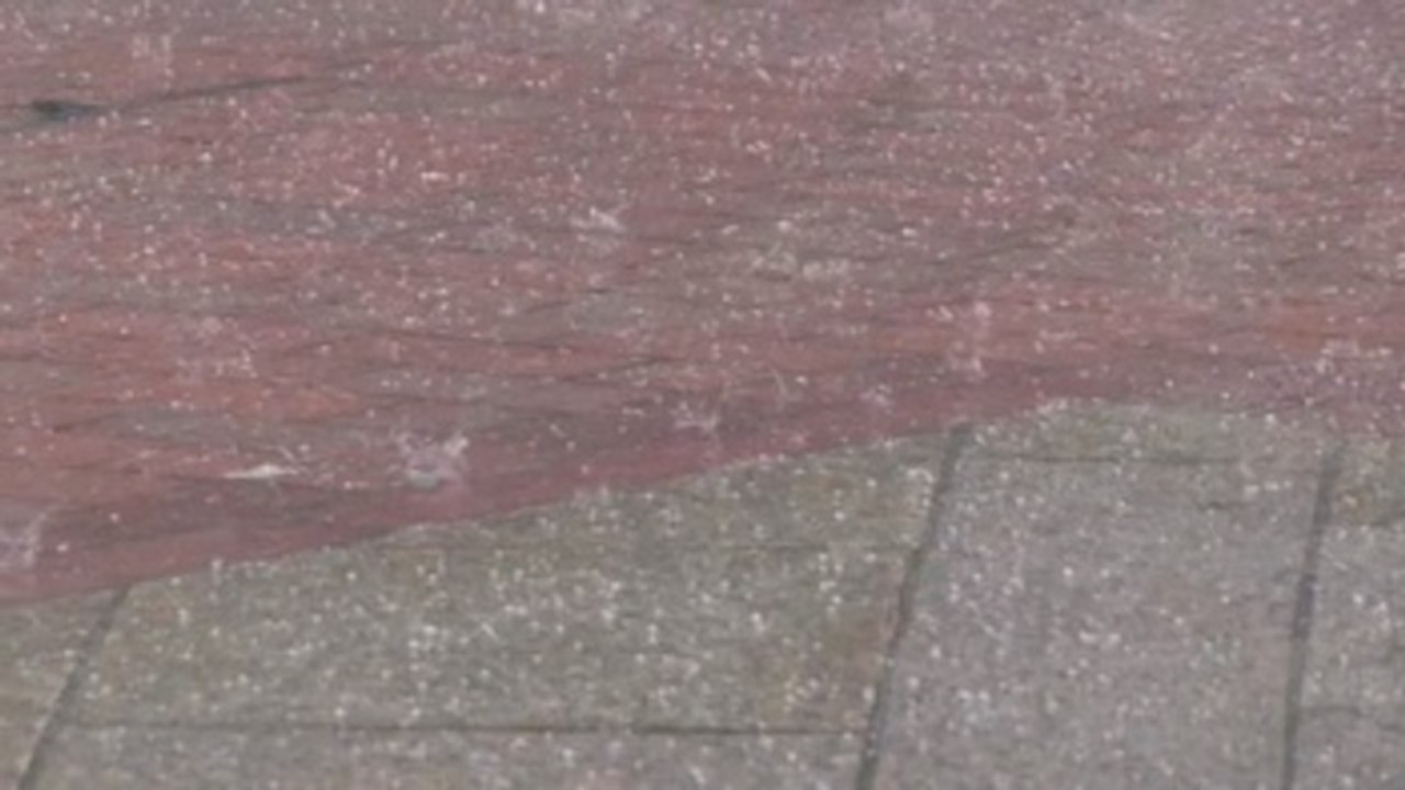 Granizada sorprende a bilbaínos