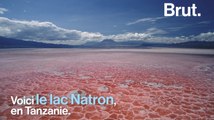 En Tanzanie, le lac Natron est menacé