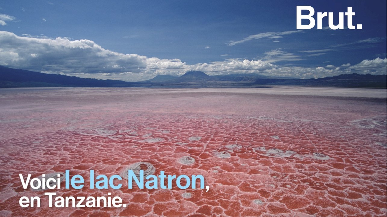 En Tanzanie, le lac Natron est menacé