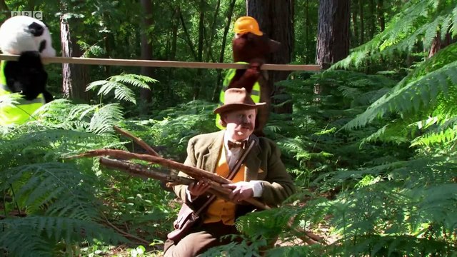 Rapids Johnson builds a hideout to try and spot those elusive bears
