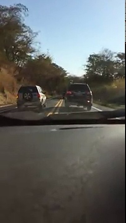 vai bonzão
