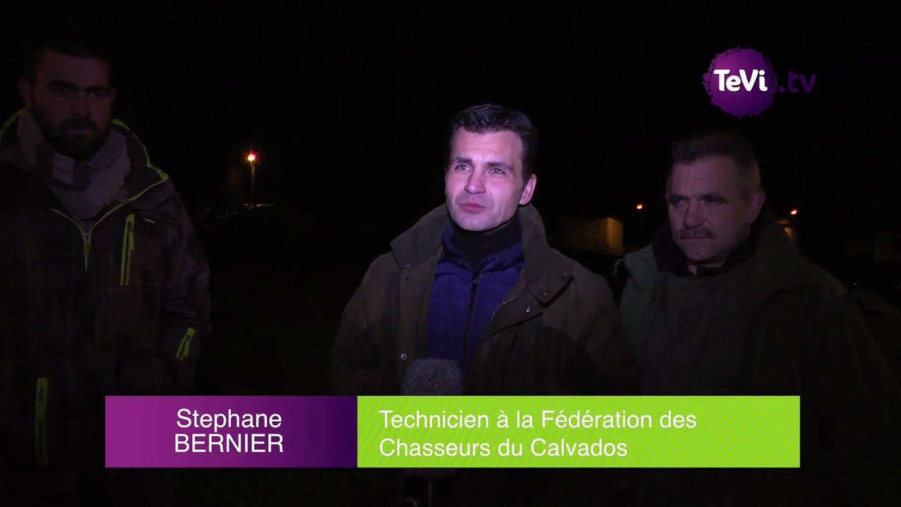 Comptage d'animaux sauvages (14)