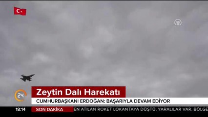 Zeytin Dalı Harekatı