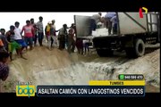 Tumbes: decenas de pobladores asaltan camión con langostinos