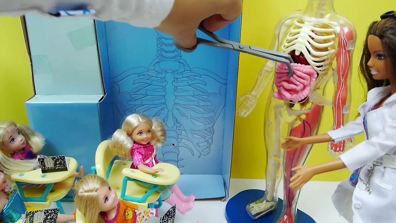 باربي في المدرسة حصة العلوم حلقة 2 - ألعاب Barbie Squishy Human Body Parts