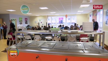 Des menus végétariens à la cantine