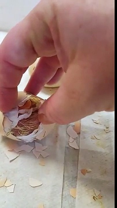 Des enfants chantent bon anniversaire à un poussin sortant de son oeuf