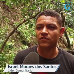 Árvore cai em Jesus de Nazaré