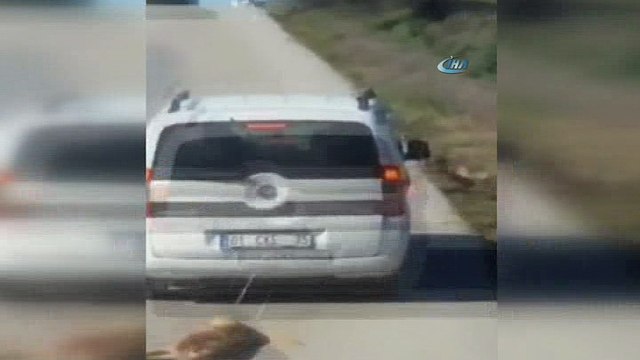 Vicdansızlığın bu kadarı... Köpeği aracın arkasına bağlayıp sürükledi