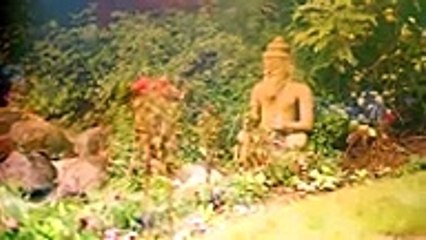 The Ayurveda Experience by El Secreto De Feriha Emir -, tv Hd series 2018 Movies - 2