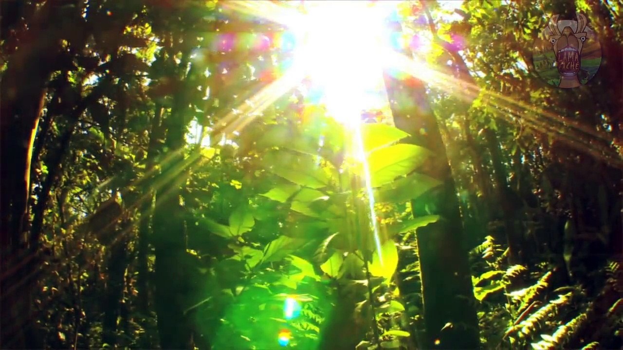 10 PERSONNES QUI ONT SURVÉCU À LIMPOSSIBLE | Lama Faché