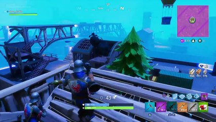 دعس فورتنايت (14)