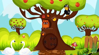 Childrens Story - Asleep Under the Apple Tree with Animal Friends