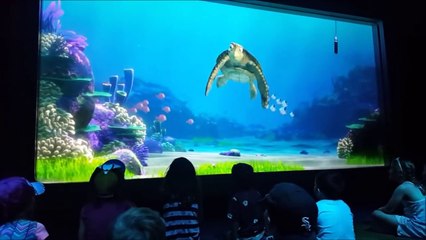 Finding Dory charers added to Turtle Talk with Crush at Epcot