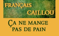 Français caillou/ Définition du jour: 