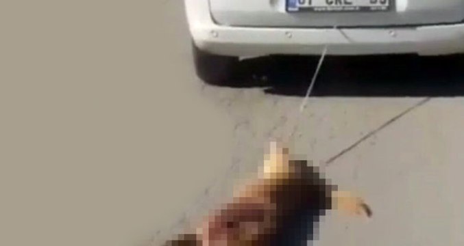 Vicdansızlığın Bu Kadarı! Aracın Arkasına Bağlayıp Sürüklediği Köpek, Can Verdi