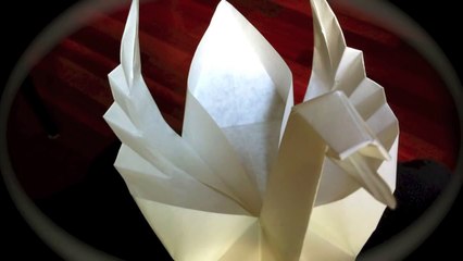 Origami Schwan swan cygne cigno Faltanleitung