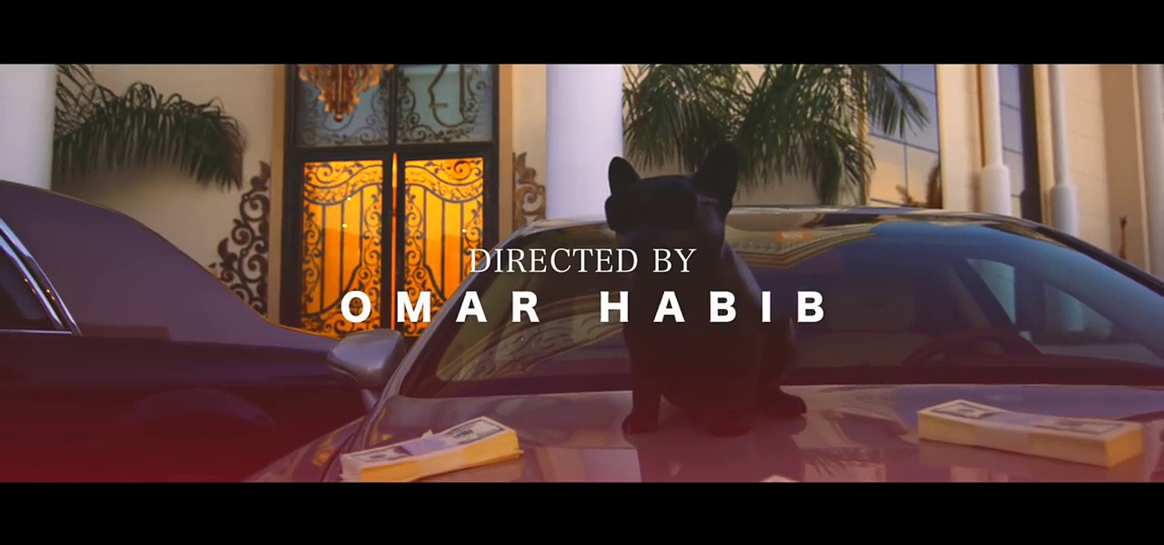 ⁣تايقر - انا دب (فيديو كليب حصري) 2018 | ANA DOB