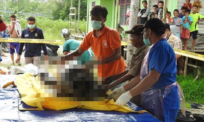 Petugas Tangkap Pelaku Pembunuhan Seekor Orangutan