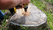 Easy Way to Remove Tree Stumps - Part 1