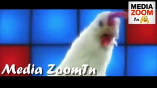 Chicken song -   أغنية  دجاج الحاكم بــ 7 آلاف