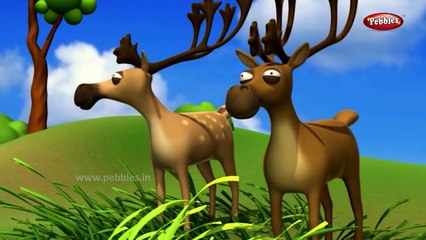 Animal Rhymes For Kids in Hindi | हिंदी कविता | Top 10 3D Animal Rhymes in Hindi Collection 1