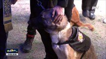 Pagbili ng bomb sniffing dogs, dinipensahan ng PNP