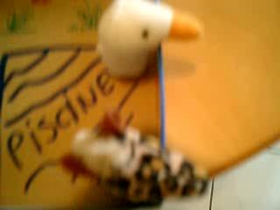 BLOG réalité : la piscine