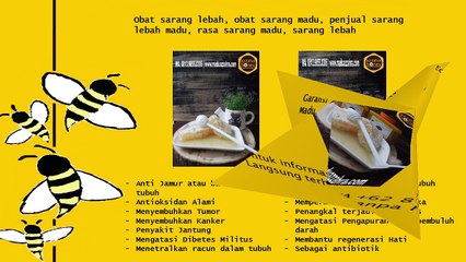 Garansi Uang Kembali, WA +62 813-9855-0306, Madu Asli Murni